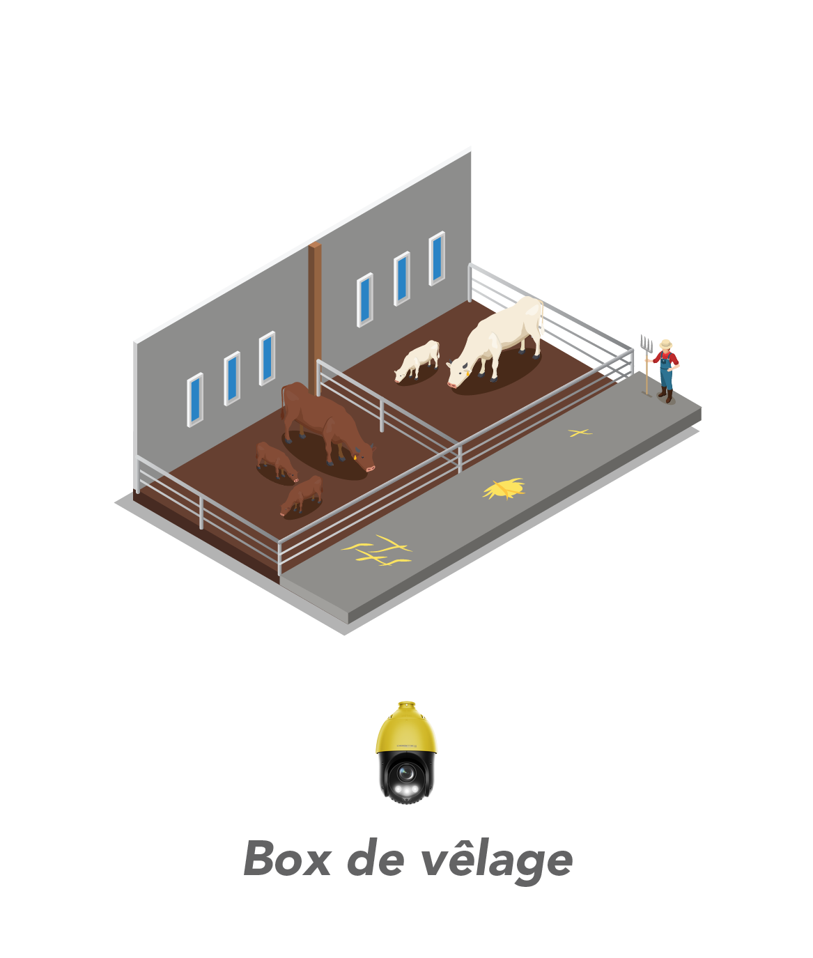 Image du batiment box_velage