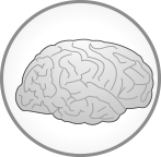 Pictogramme d'un cerveau