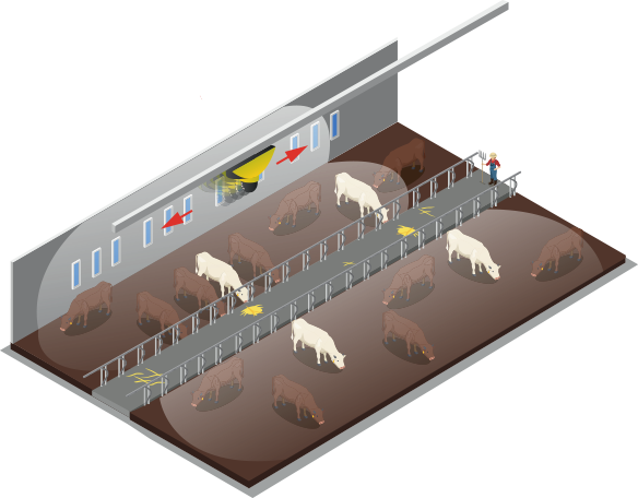 Dessisn illustrant le fonctionnement d'une caméra doomax