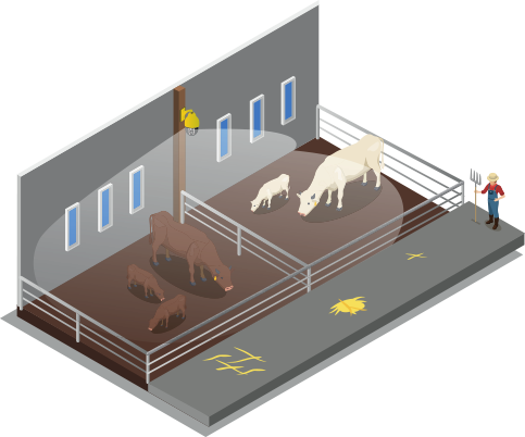 Illustration du fonctionnement d'une doomie sur rail