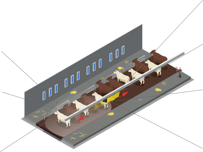 Illustration du fonctionnement d'une doomie sur rail