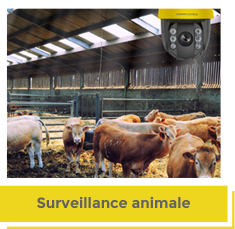 Surveillance animale